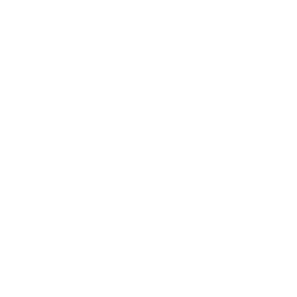 Davide Demattia